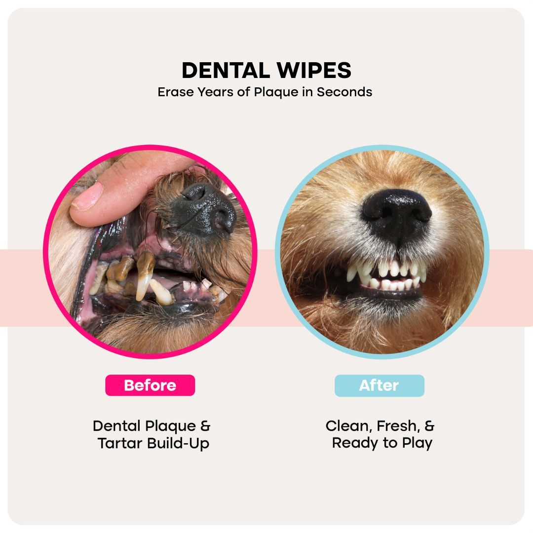 Uproot PureCare™ Kit - Image 3