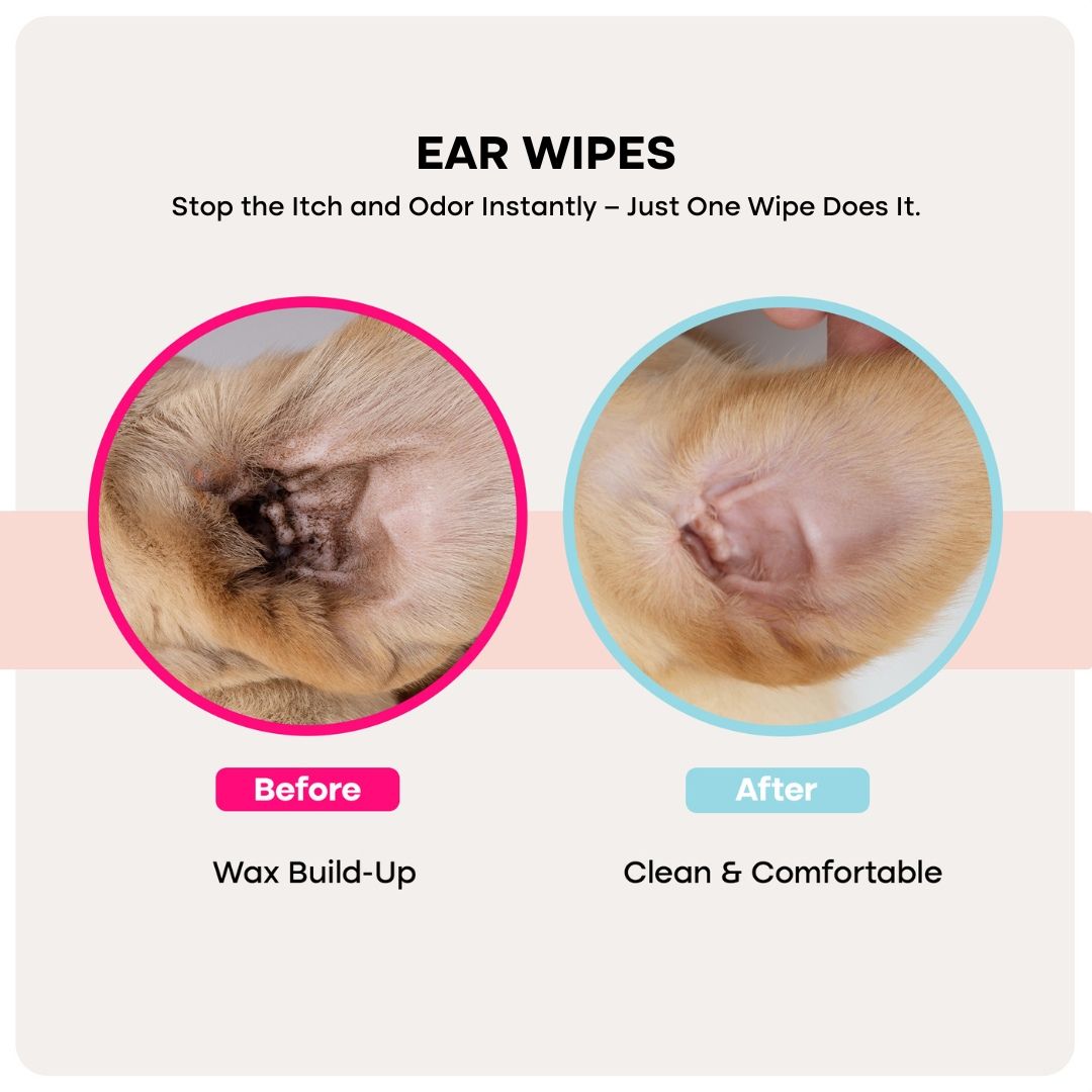 Uproot PureCare™ Kit - Image 2