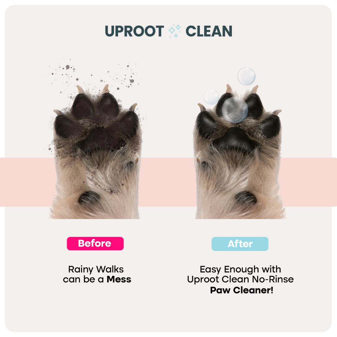 Uproot Pet Care Bundle - Image 5