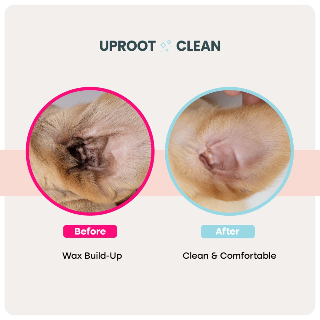 Uproot Ear Wipes - Image 2