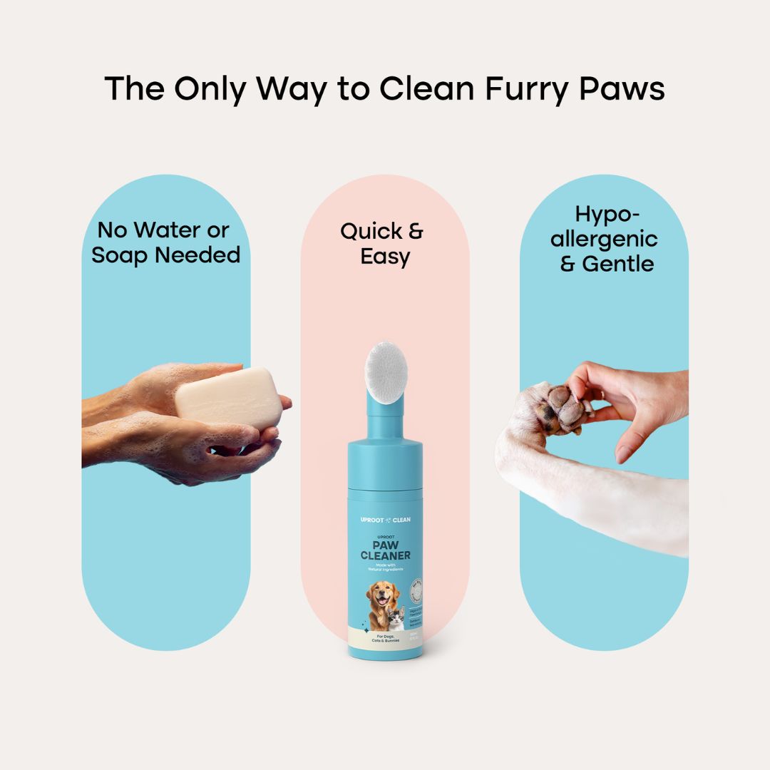 Uproot Paw Cleaner - Rinse-Free Foam Cleanser - Image 7