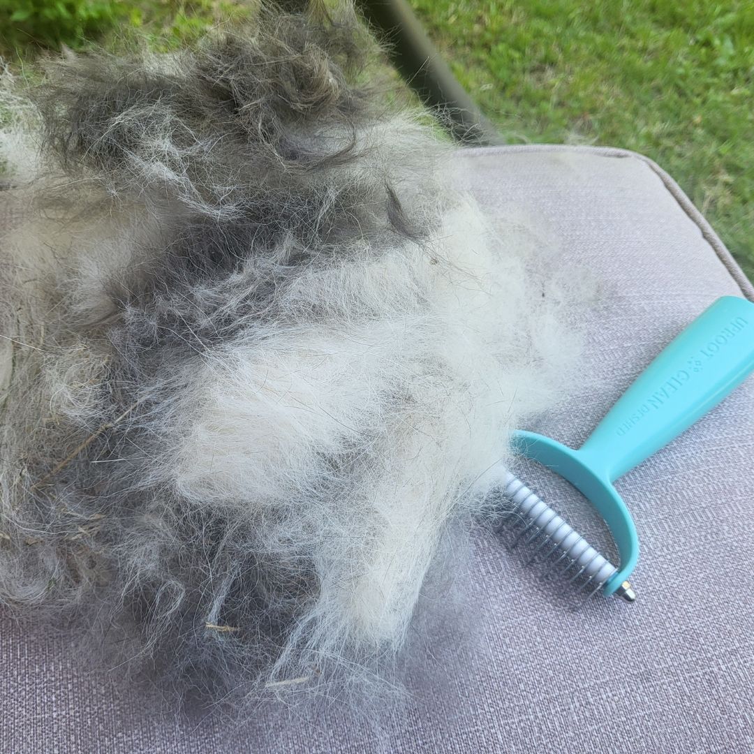 Uproot Cat and Dog Brush - Image 8
