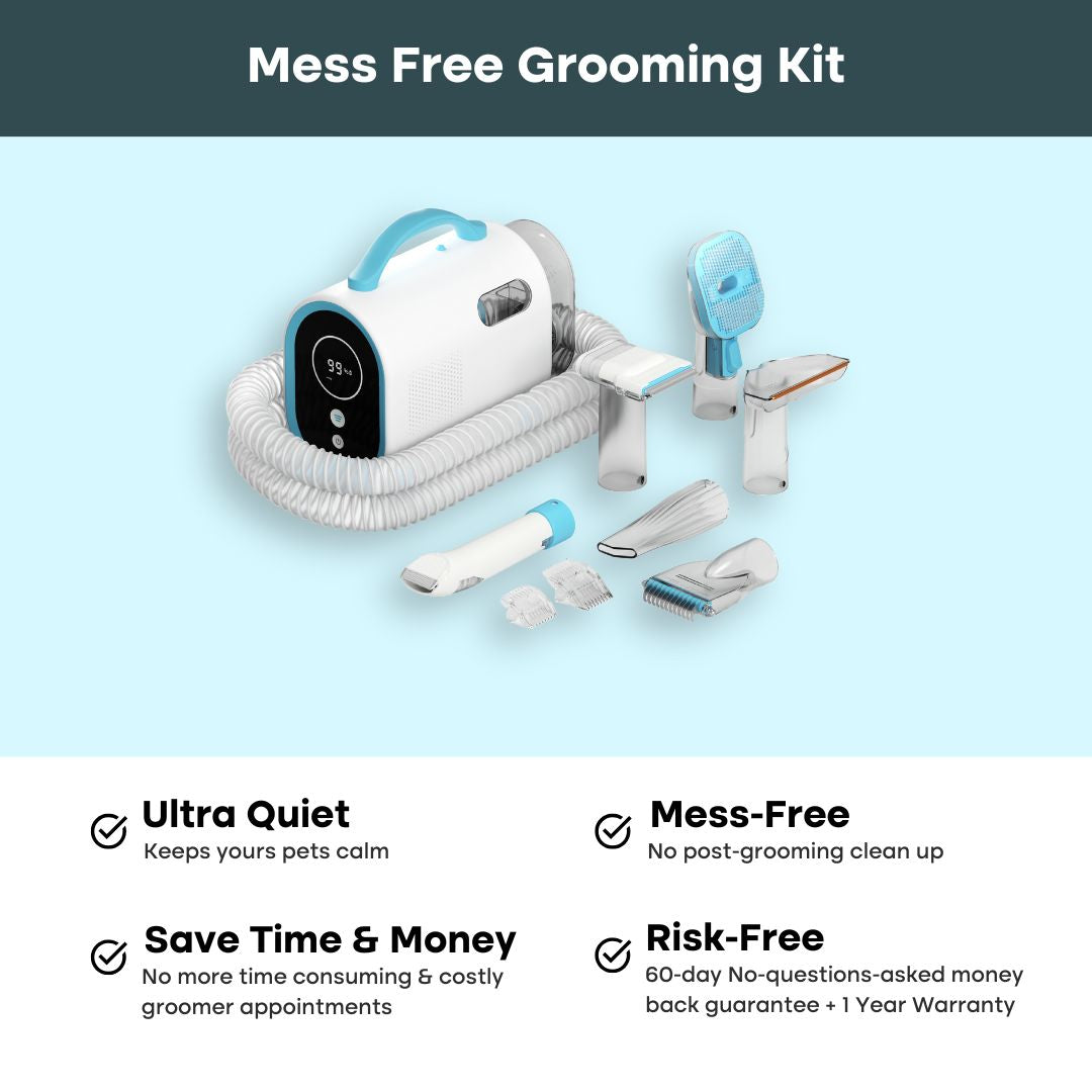 The Everything Uproot Bundle - Image 3