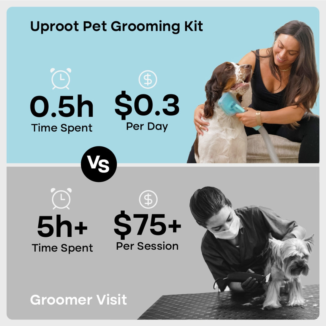 Cordless Grooming Kit (Infl) - Image 8