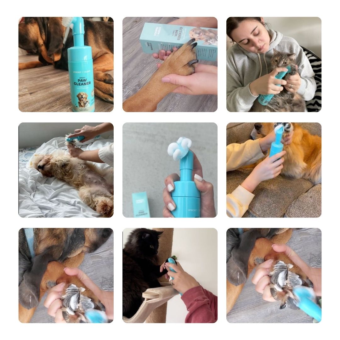 Uproot Paw Cleaner - Rinse-Free Foam Cleanser - Image 5