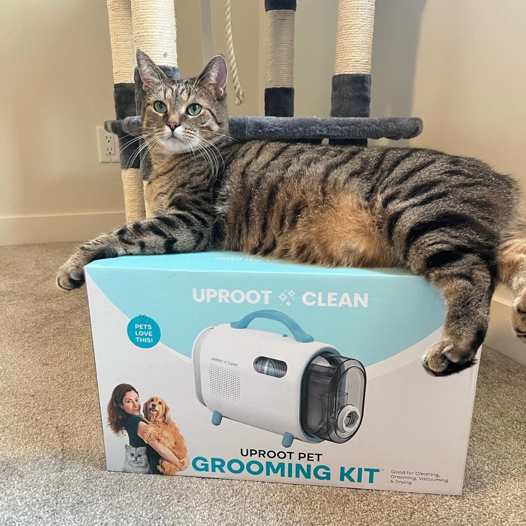 Uproot Pet Grooming Kit - Image 14